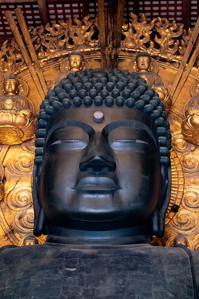 Head of large bronze Buddha, Great Buddha Hall, Todai-ji temple, Nara, Japan